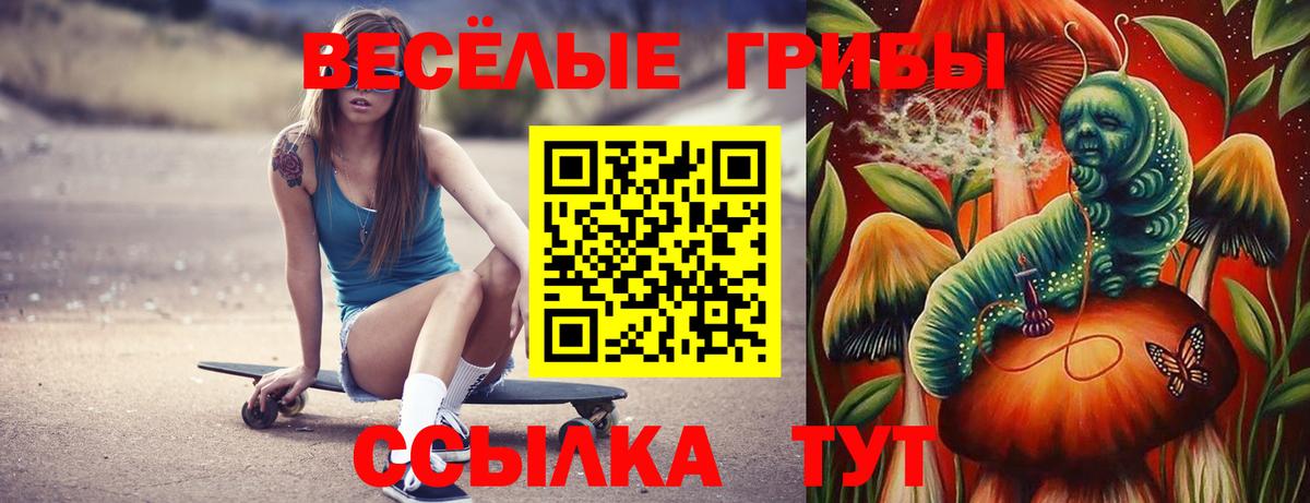 Галлюциногенные грибы Psilocybe Черкесск